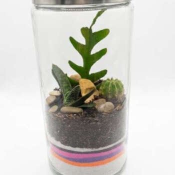 Closed Terrarium