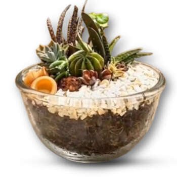 Coffee Table Center Piece