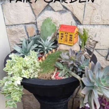 Fairy Garden